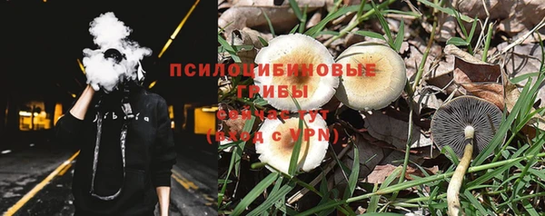 героин Няндома