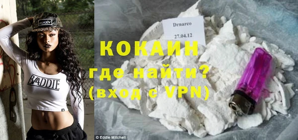 твердый Осинники