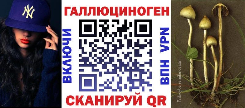 Псилоцибиновые грибы мицелий Купить Новосибирск